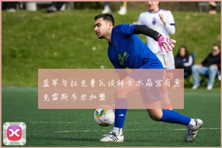蓝军与拉克鲁瓦谈转会水晶宫有意克雷斯韦尔加盟