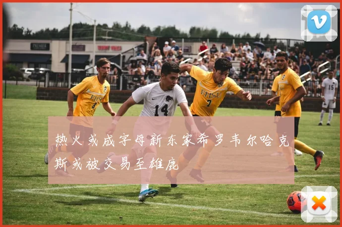 热火或成字母新东家希罗韦尔哈克斯或被交易至雄鹿
